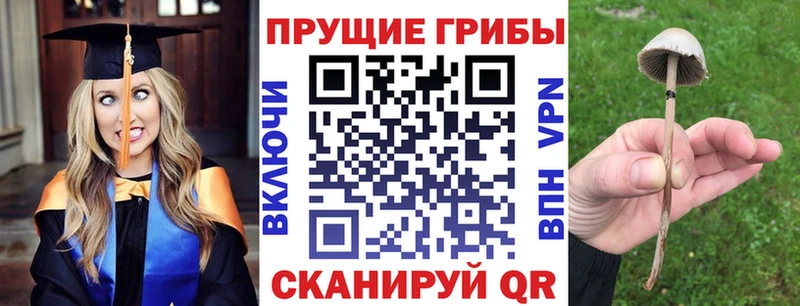 Псилоцибиновые грибы MAGIC MUSHROOMS  blacksprut вход  Абаза  даркнет сайт 